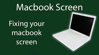 Macbook Screen wont light up Model A1181 and up. Ноутбуки